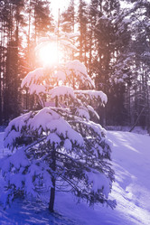 Similar image 21386531