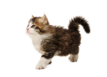 Similar image 21386536