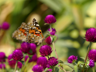 Similar image 21386542