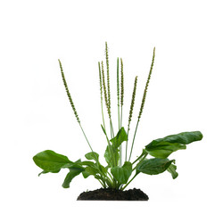 Similar image 21386556