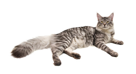 Similar image 21386559