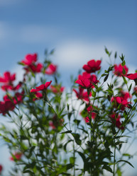 Similar image 21386566