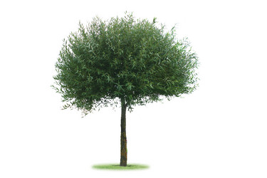 Similar image 21386568