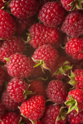 Similar image 21386571