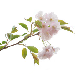 Similar image 21386721