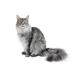 Similar image 21386726