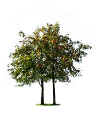 Similar image 21386739