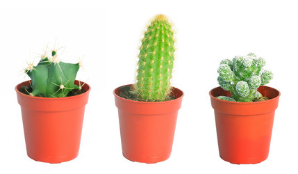 Similar image 21386745