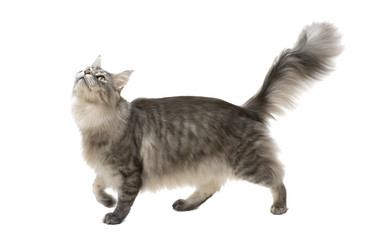 Similar image 21386746