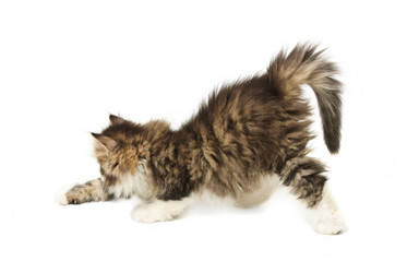 Similar image 21386179