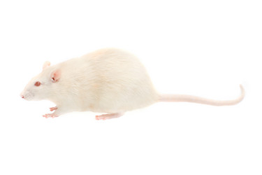 Similar image 21386182