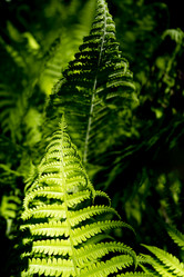 Similar image 21386574