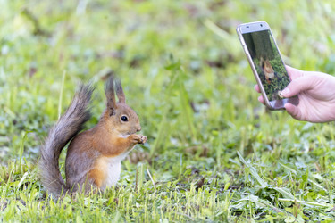 Similar image 21386575