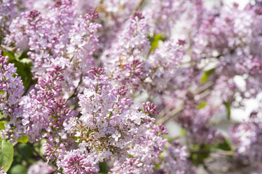 Similar image 21386577