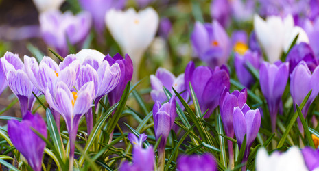 Similar image 21386578