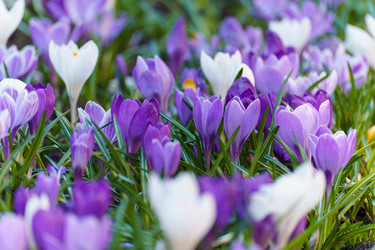 Similar image 21386580