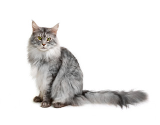 Similar image 21386592