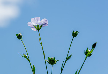 Similar image 21386593