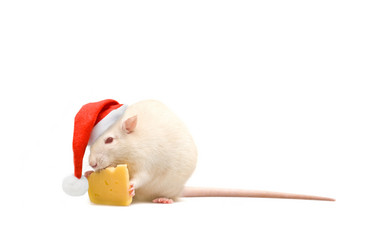 Similar image 21386594