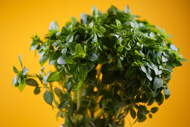 Similar image 21386595