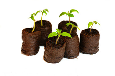 Similar image 21386596