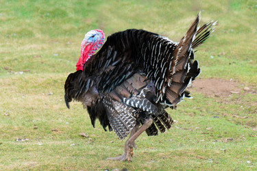 Similar image 21386599