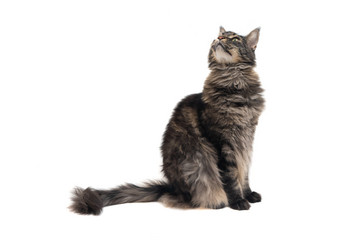 Similar image 21386606