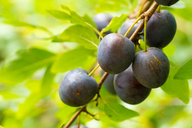 Similar image 21386612