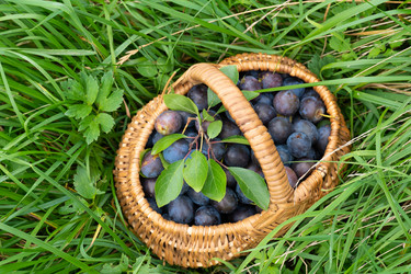 Similar image 21386614