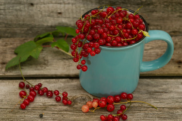 Similar image 21386621