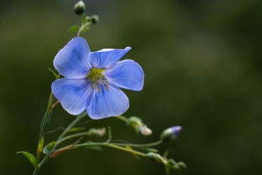 Similar image 21386628