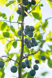 Similar image 21386632