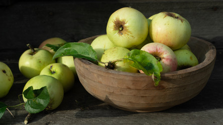 Similar image 21386633