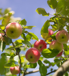 Similar image 21386635