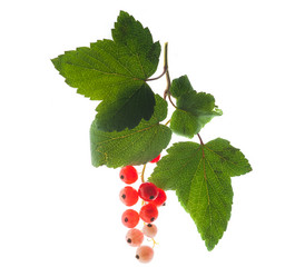 Similar image 21386641