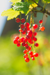 Similar image 21386645