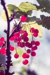 Similar image 21386647