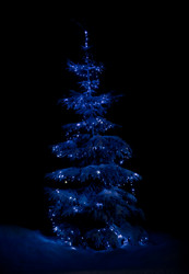 Similar image 21386650