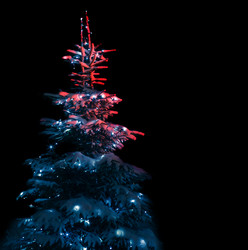 Similar image 21386651