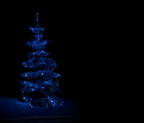 Similar image 21386652