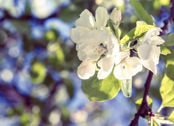 Similar image 21386653