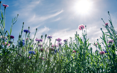 Similar image 21386656