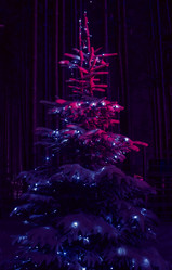 Similar image 21386658