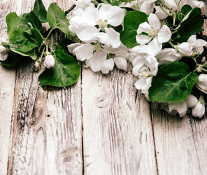 Similar image 21386660