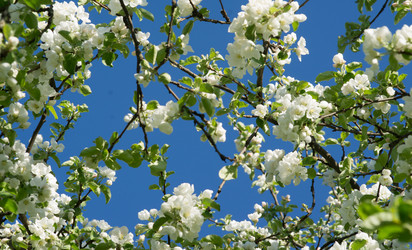 Similar image 21386661