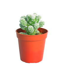 Similar image 21386664