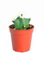 Similar image 21386666