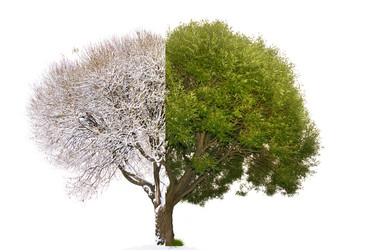 Similar image 21386667