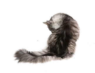 Similar image 21386673