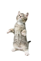 Similar image 21386674